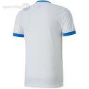 Koszulka męska Puma teamGOAL 23 Jersey biało-niebieska 704171 12 Puma