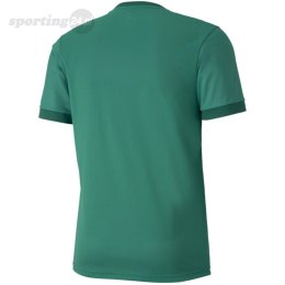 Koszulka męska Puma teamGOAL 23 Jersey zielona 704171 05 Puma