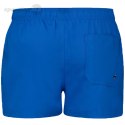 Spodenki kąpielowe męskie Puma Swim Men Length Swim niebieskie 907658 20 Puma