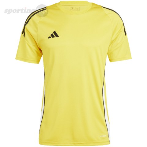 Koszulka męska adidas Tiro 24 Jersey żółta IS1015 Adidas teamwear