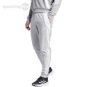 Spodnie męskie adidas Tiro 24 Sweat szare IS2153 Adidas teamwear