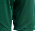 Spodenki dla dzieci adidas Tiro 24 zielone IT2409 Adidas teamwear