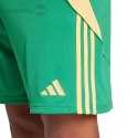 Spodenki męskie adidas Tiro 24 zielone IT2414 Adidas teamwear