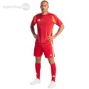 Spodenki męskie adidas Tiro 24 czerwone IR9379 Adidas teamwear