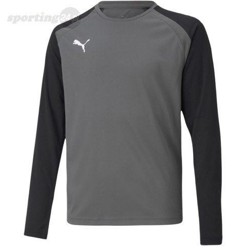 Bluza bramkarska dla dzieci Puma teamPACER GK LS Jersey szara 704939 43 Puma