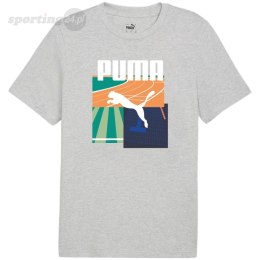 Koszulka męska Puma Graphics Summer Sports Tee II szara 627909 04 Puma