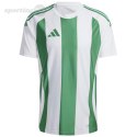 Koszulka męska adidas Striped 24 Jersey biało-zielona IW2148 Adidas teamwear