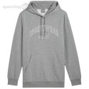 Bluza męska Puma Ess+ Logo LAB Gradient Hoodie FL szara 681775 03 Puma