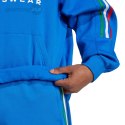 Bluza męska adidas House of Tiro Nations Pack niebieska IY4532 Adidas